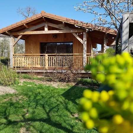 La Cabane Du Jardin Bongheat エクステリア 写真