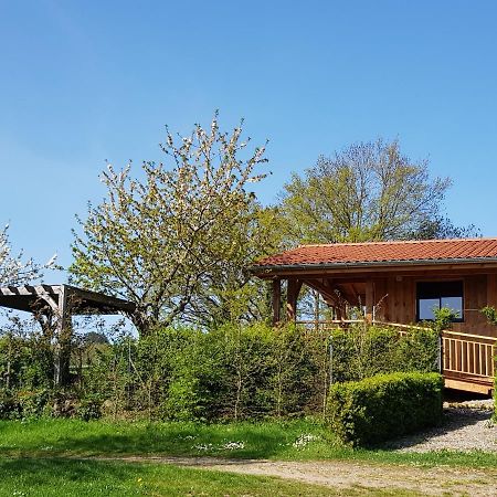 La Cabane Du Jardin Bongheat エクステリア 写真